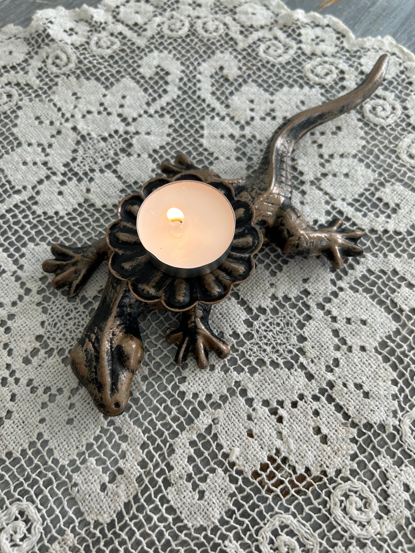 Ještěrka na svíčku