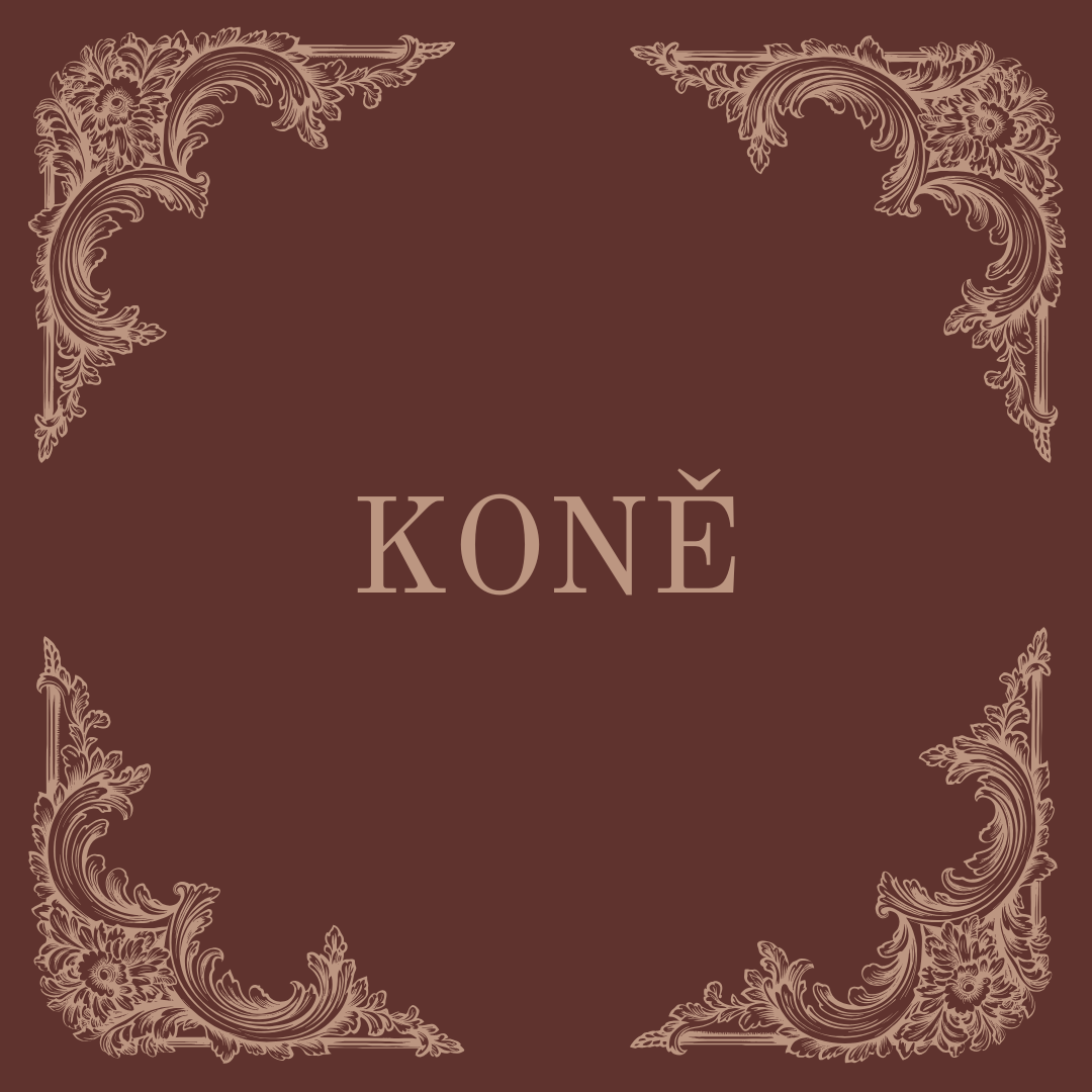 Gravírovaná vařečky - Koně
