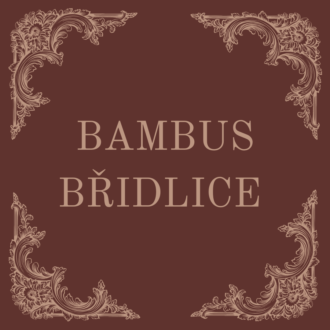 Bambus / Břidlice